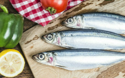 A Donnalucata la Sagra del Pesce Azzurro. Il programma dettagliato