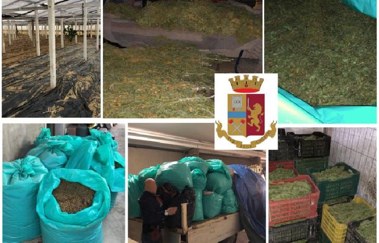 Polizia sequestra 770 kg di droga ed arresta 4 persone