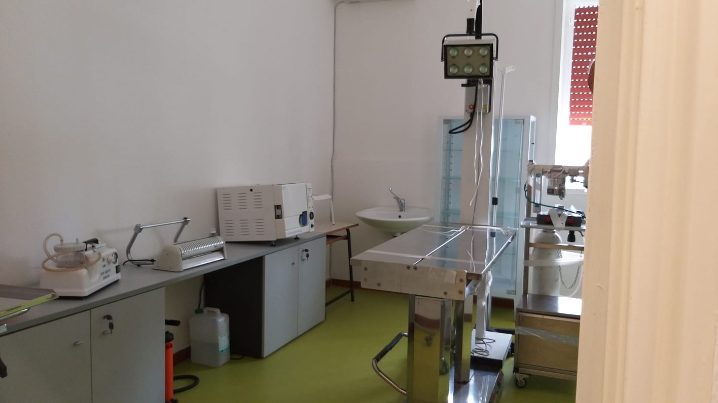 Al via le sterilizzazioni e le microchippature all’anagrafe canina di Vittoria