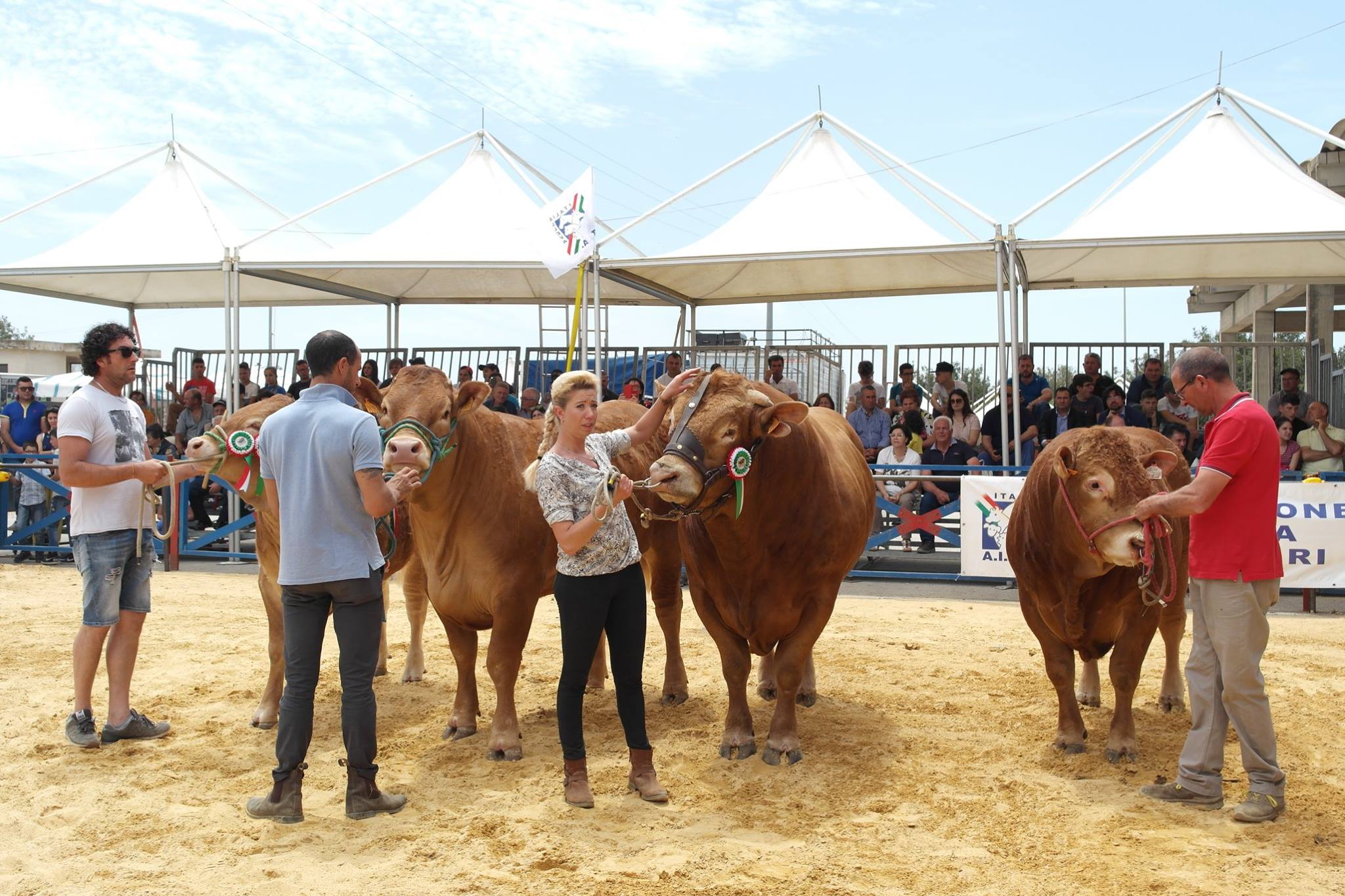 Zootecnia siciliana, torna a Modica Fam-Mac