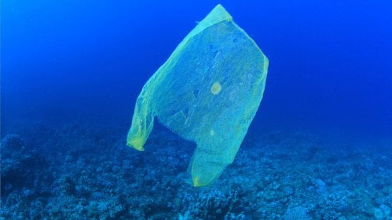 Al via Life Beyond plastic, buone pratiche per l’ambiente