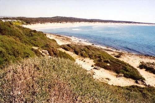 I parrucchieri puliscono la spiaggia di Branco Piccolo, vicino Randello