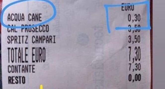 30 centesimi per l’acqua del cane. E’ bufera su un bar di Jesolo