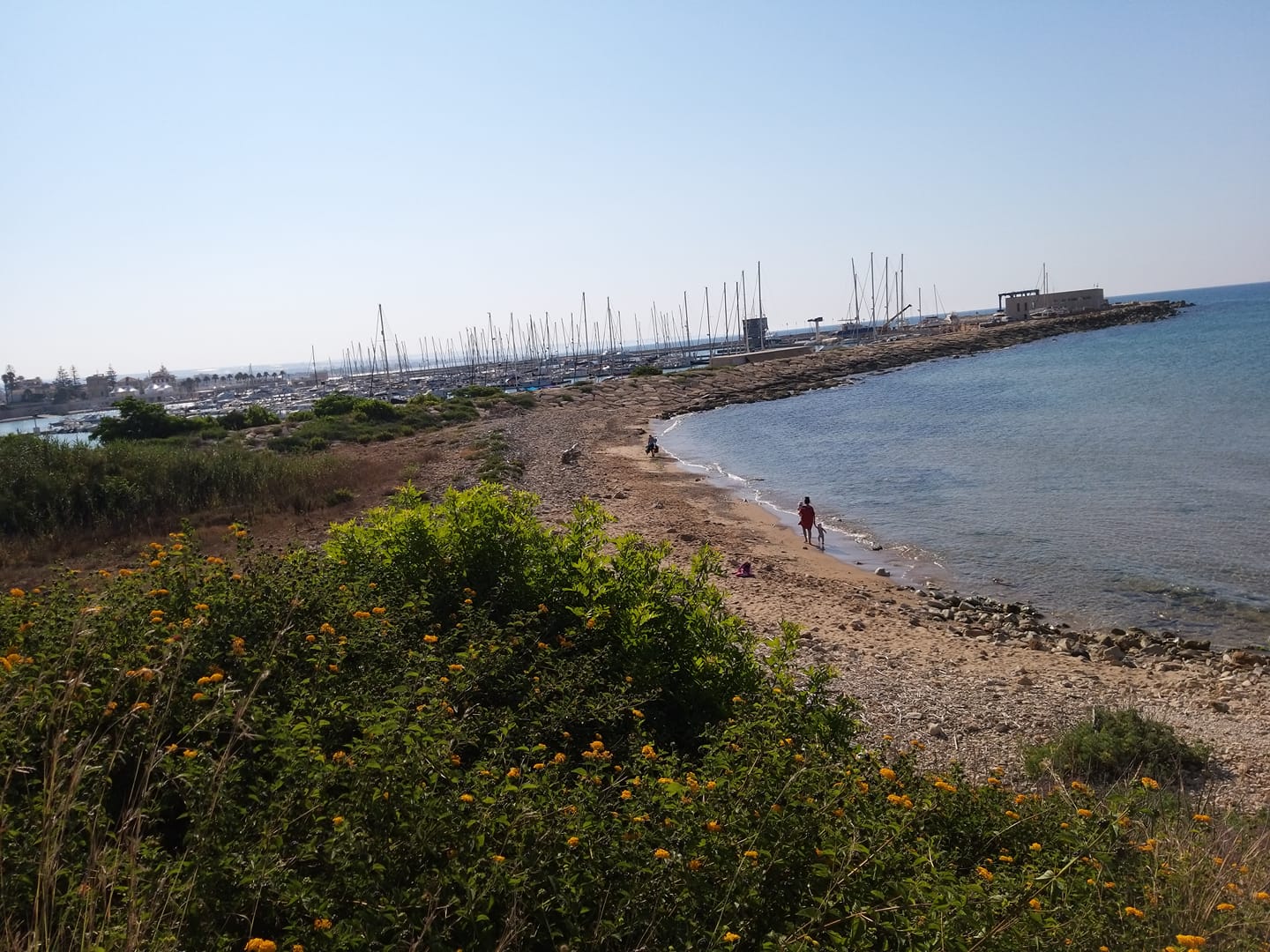 Una spiaggia per cani a Marina? “Giusto. Peccato che sia piena di sassi e scogli”