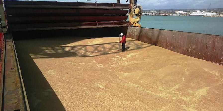 Pozzallo, in arrivo nave carica di grano canadese: “Faremo verifiche”