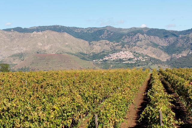 Al Gal Terra Barocca la direzione del Distretto del Cibo del Sud-Est Etna – Val di Noto
