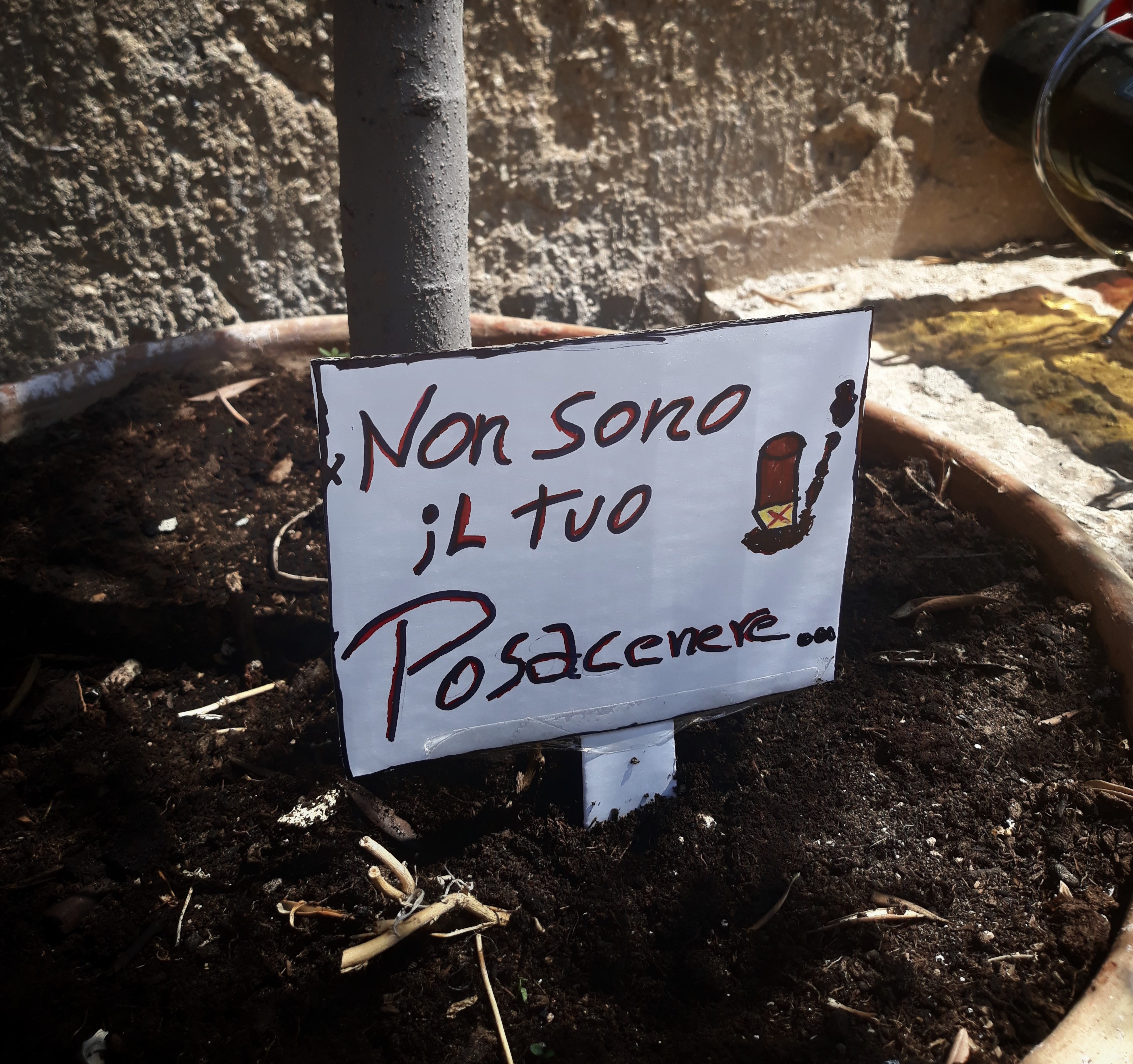 Piante trasformate in posacenere. Al Castello di Donnafugata rispondo così. FOTO