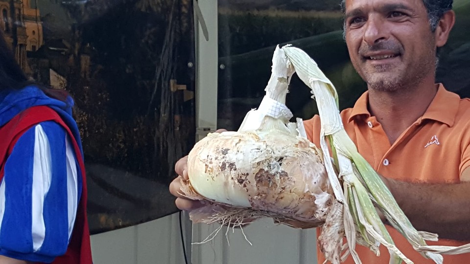 Una cipolla da 2,125 kg: è lei la regina della Sagra di Giarratana