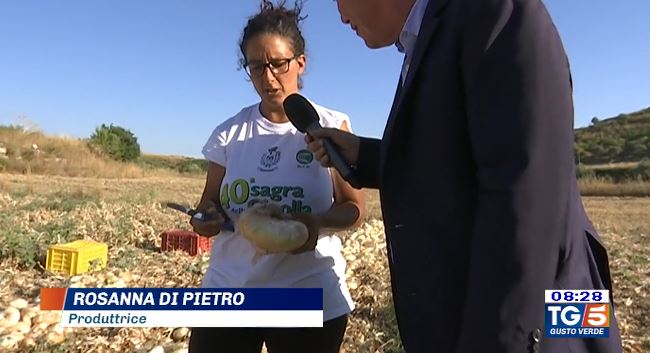 La cipolla di Giarrata a “Gusto Verde”, rubrica del TG 5. VIDEO