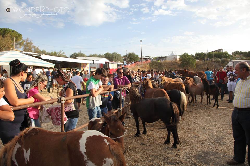 A Giarratana, per San Bartolomeo, ritorna la fiera del bestiame