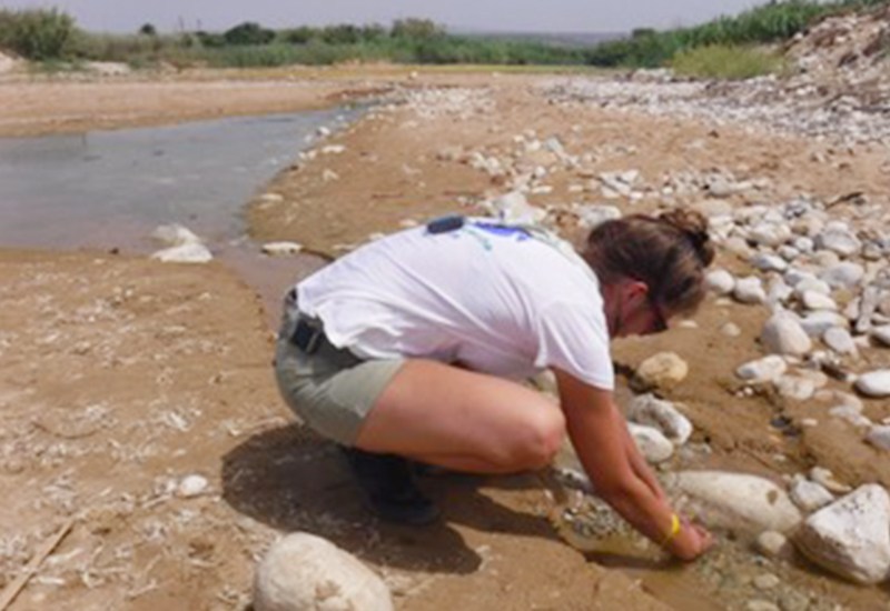 Problemi di depurazione sul torrente Modica-Scicli, confermate anche da ARPA le criticità segnalate da Goletta Verde.