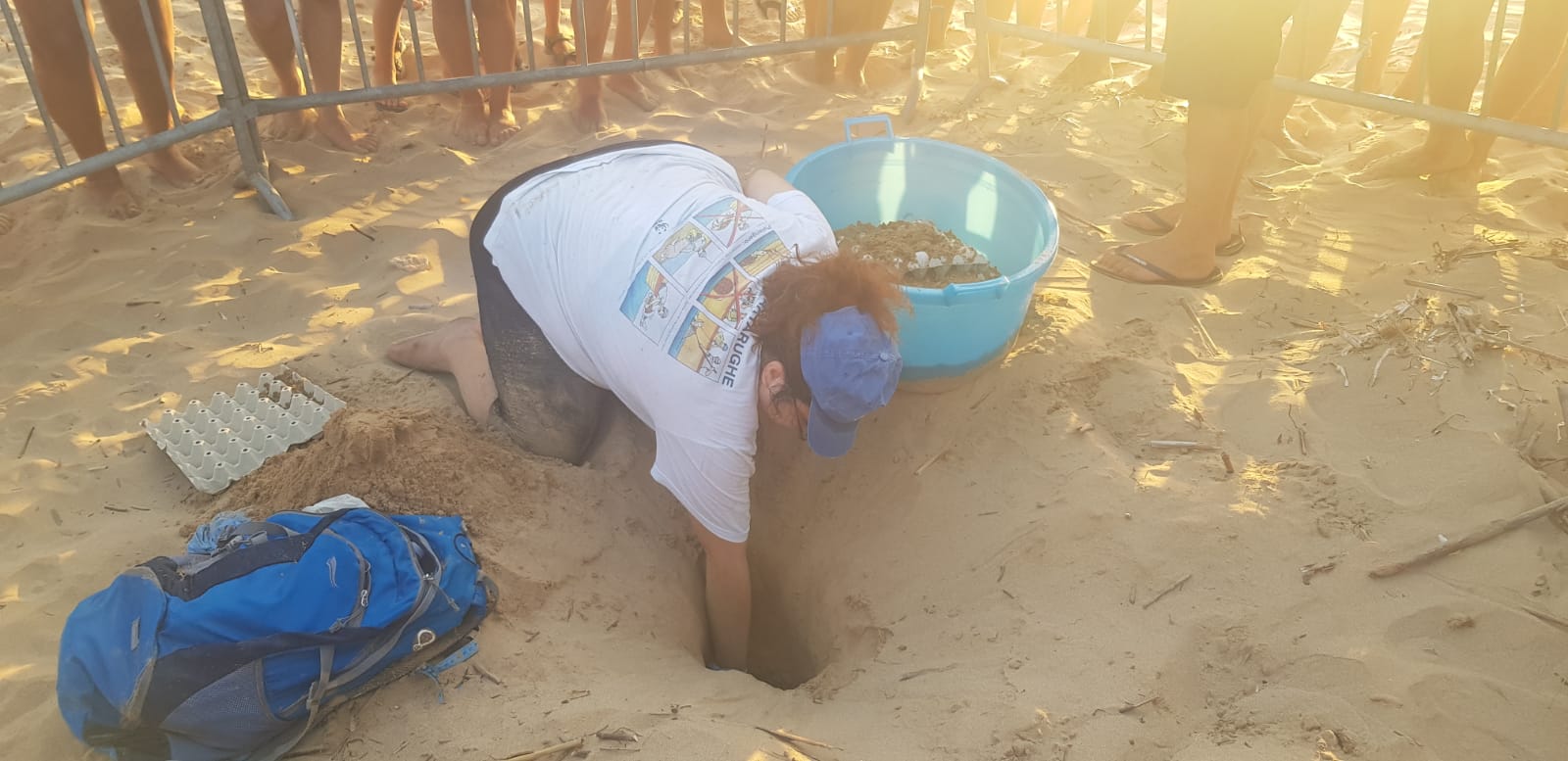 Marina di Modica: messe in sicurezza 102 uova di Caretta Caretta