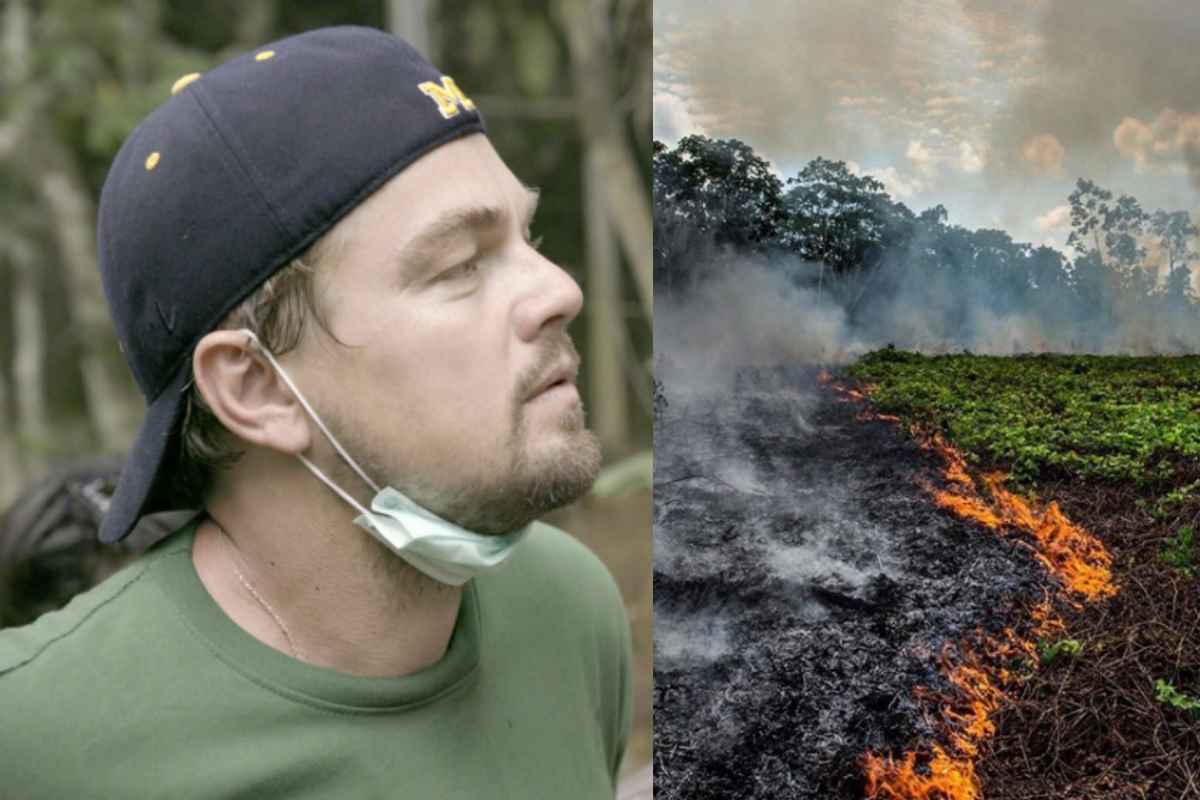 Leonardo Di Caprio dona 5 milioni di dollari per gli incendi in Amazzonia
