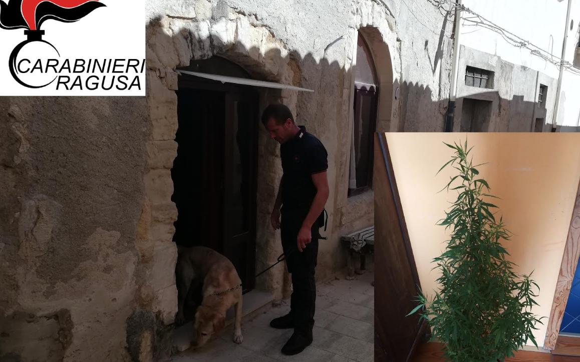 Spaccio droga: due arresti a Ragusa da parte dei Carabinieri