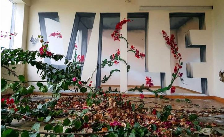 Vile: l’artista di strada che trasforma le mura in pareti trasparenti