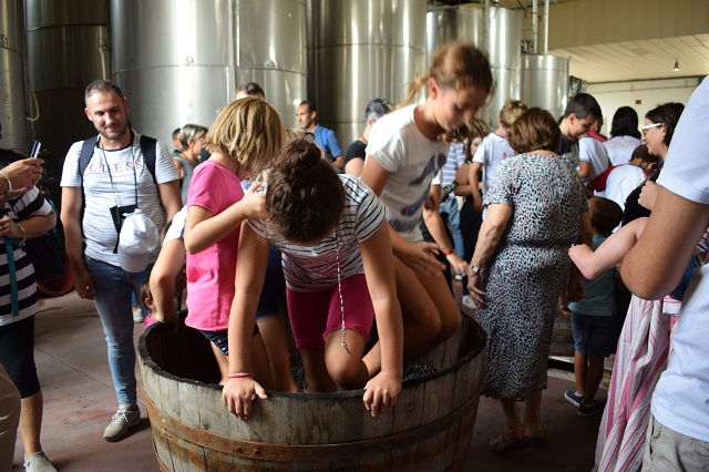 Avide Vigneti & Cantine: la bella iniziativa di Bimbi e Vendemmia