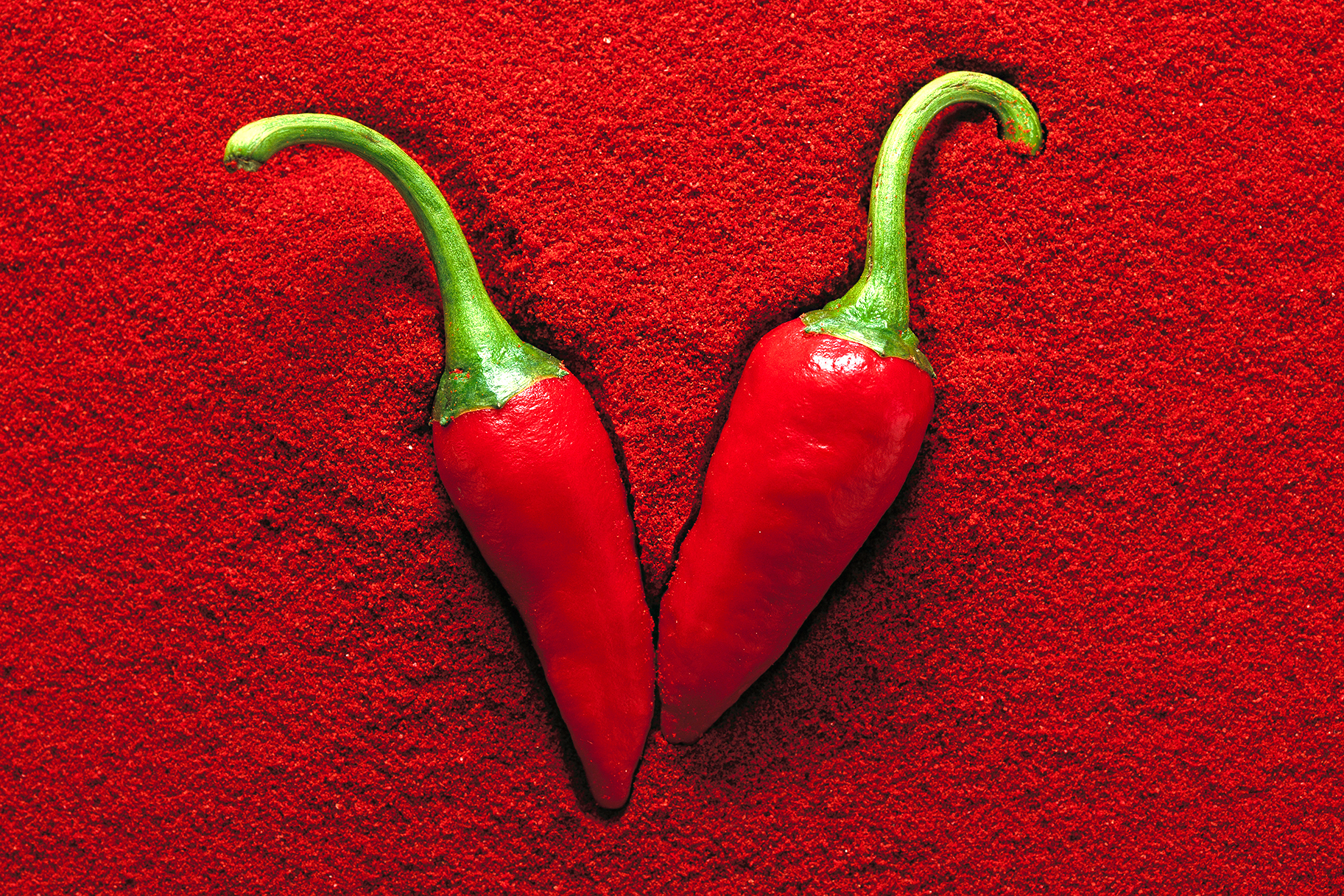 Piccante come il Peperoncino: una mostra a terma in Calabria