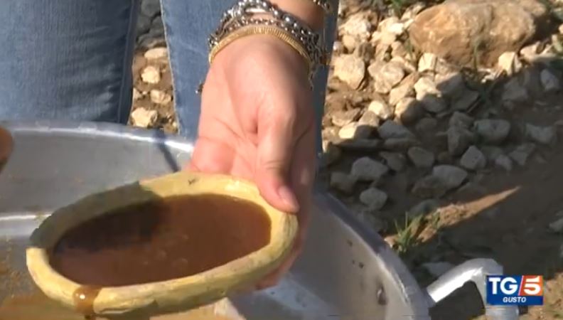 La mostata e le cuddireddi: Gusto, la rubrica del TG 5, a Pedalino