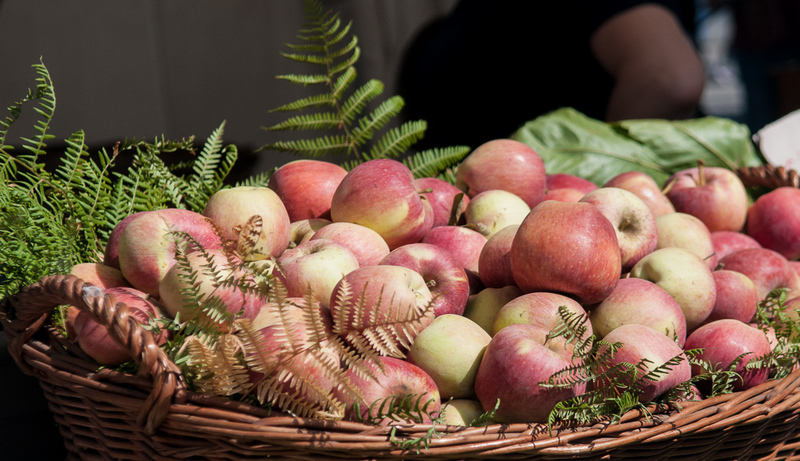 L’autunno: i suo prodotti e i suoi colori. I mercatini di Ragalna, dal 20 ottobre al 15 dicembre