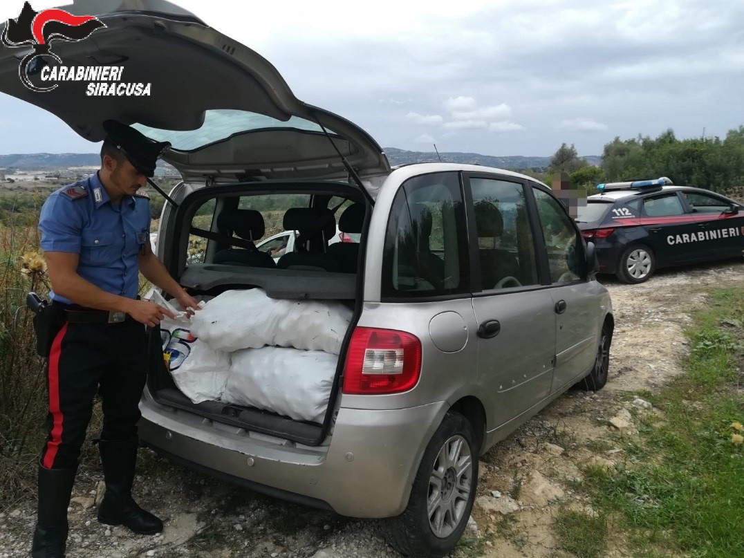 Quelli che ad Augusta rubano 200 kg di agrumi