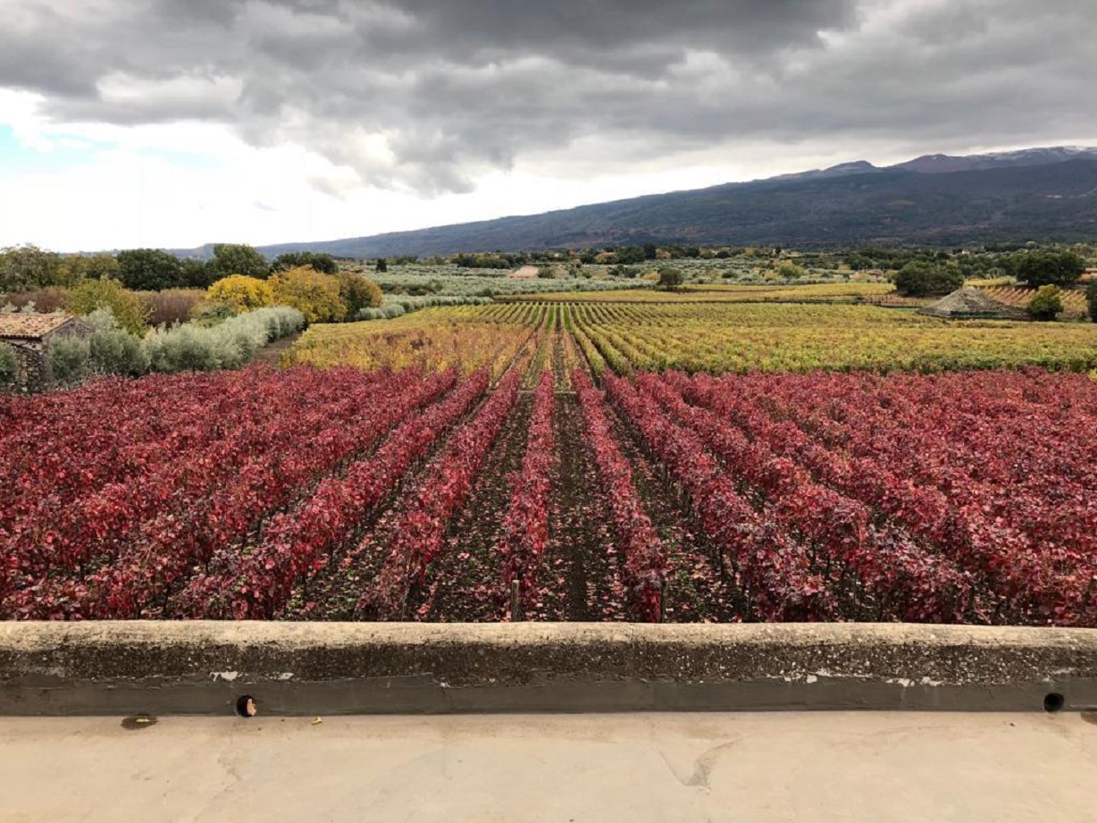 Giornate del FAI d’autunno in Sicilia: visite in 40 luoghi poco conosciuti in 20 città