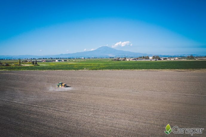 Canapar sarà a Roma all’evento internazionale Cannabis Business Italia 2019
