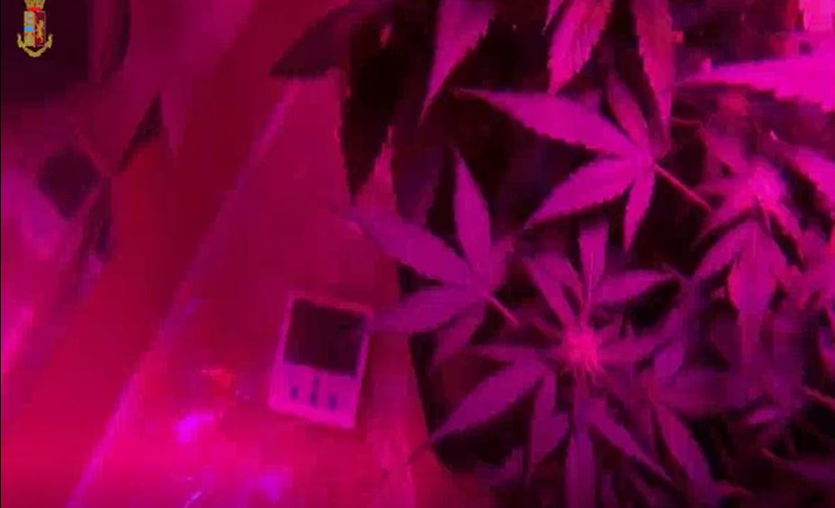 Coltivava marijuana in una serra fatta in casa, arrestato giovane comisano