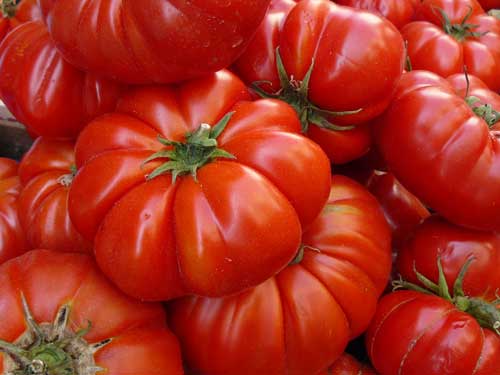 Salmonella nei pomodorini, cresce l’allerta: stop nelle mense e un lotto siciliano ritirato