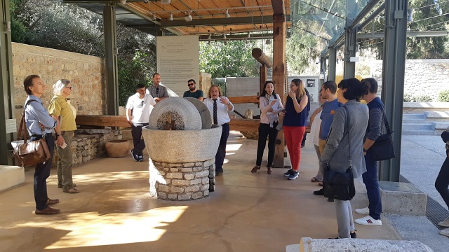 Nascerà Cluster Mediterraneo tra produttori di olio grazie al progetto Aristoil. Confronto in Grecia