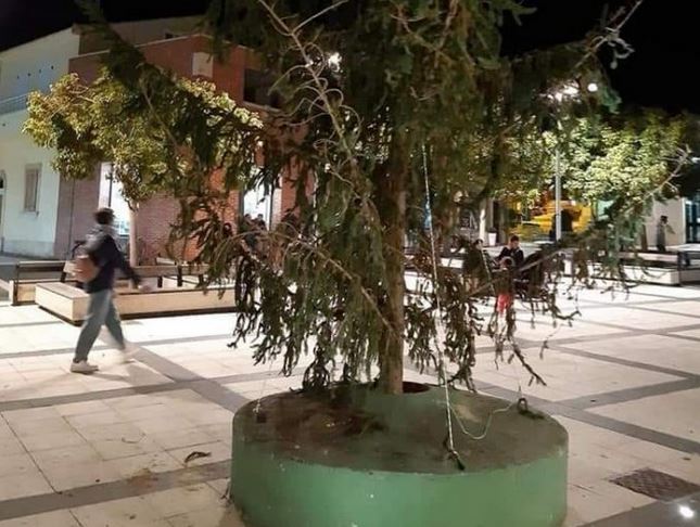 A Marina e a Ragusa due “Spelacchi”. Ma il sindaco ha già provveduto a rimuoverli. FOTO