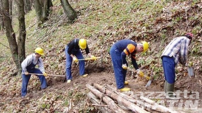 Il concorso per i 46 agenti forestali sarà annullato