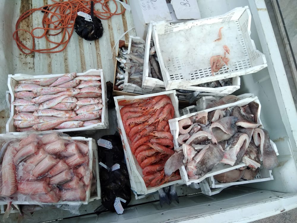Oltre 1,5 tonnellate di pescato distrutti nel mare della Sicilia Orientale, tra cui Ragusa e Pozzallo