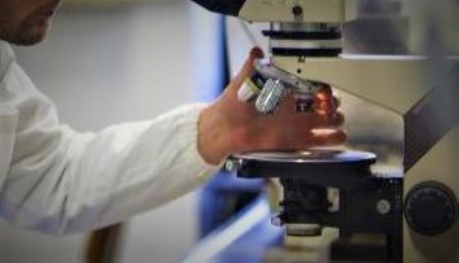 Il comisano Giovanni Meli tra i ricercatori che hanno scoperto una molecola utile nella lotta all’Alzheimer