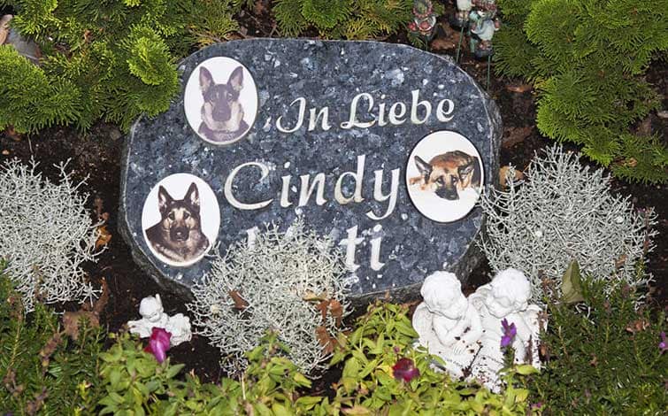 Cimiteri per animali domestici: la proposta di Giorgio Assenza