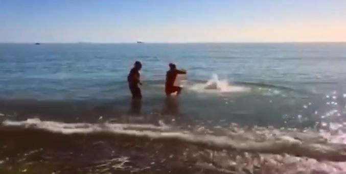 I temerari di Pozzallo: un tuffo il giorno di Santo Stefano. VIDEO
