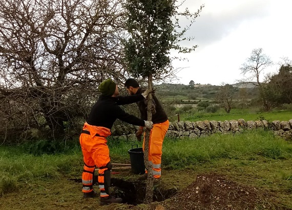 La “Festa dell’albero” celebrata anche nel plesso San Giacomo dell’Istituto comprensivo Vann’Antò