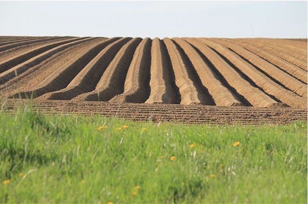 Bocciatura in blocco di 31 progetti della Regione Siciliana per il miglioramento delle infrastrutture irrigue. Niente fondi del Ministero
