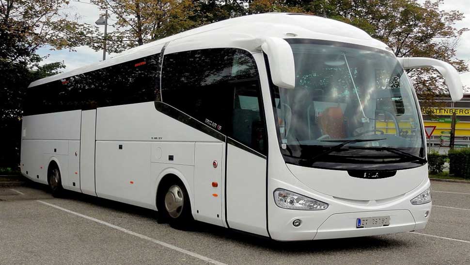 Codacons sullo sconto dei pullman contro il caro-aerei: “mortificante e offensiva, proponiamo il dorso di mulo a 10 euro”