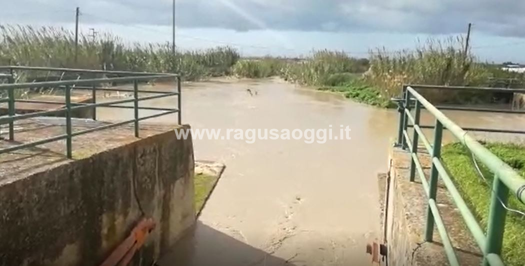 Straripa il Dirillo. Effettuato sopralluogo. il VIDEO