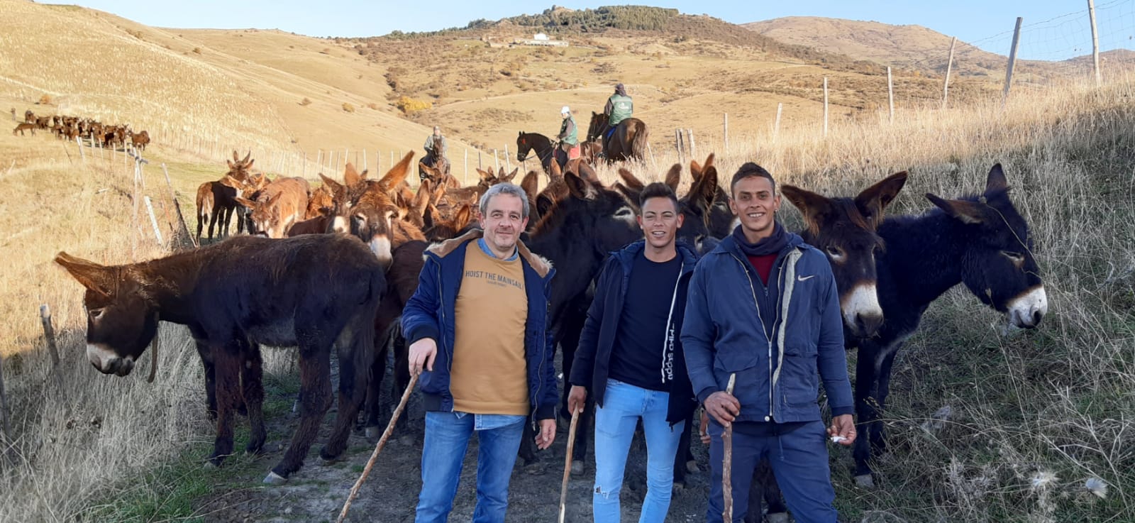 Chiaramonte – Troina, uniti per la legalità; torna l’antica tradizione della transumanza