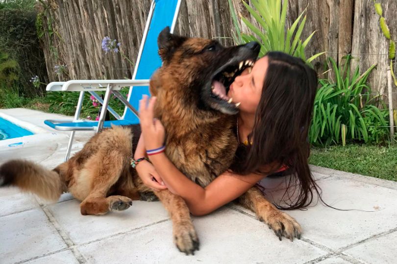 Argentina: selfie da “brivido” col cane finisce male: 17enne ferita gravemente a morsi