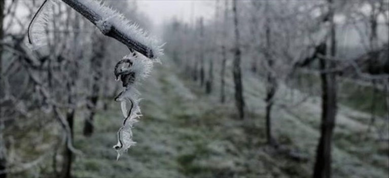 La Befana porterà il freddo: previsti venti gelidi, neve a bassa quota, temperature fino a -2
