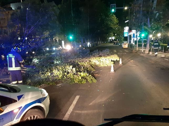 Catania si sveglia così: vento fortissimo, alberi sradicati, tetti scoperchiati