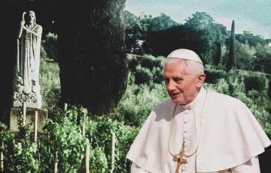 Castel Gandolfo: sarà sradicata la vigna di papa Benedetto XVI