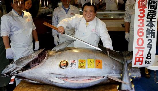 Giappone, asta record al mercato del pesce: tonno rosso venduto a 1,5 milioni di euro