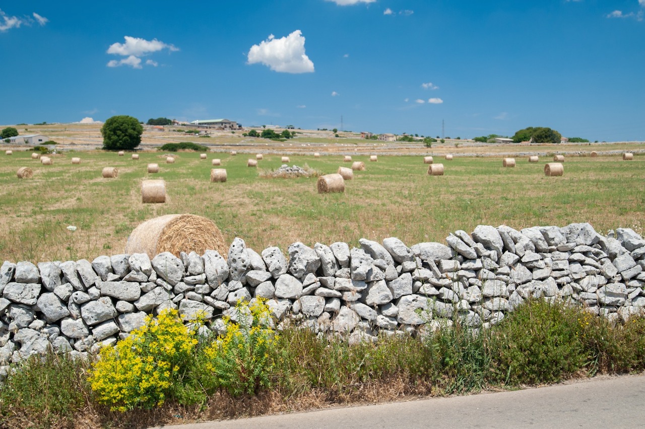 GAL Terra Barocca: domani a Santa Croce e venerdì a Ispica gli incontri informativi sui bandi destinati alle imprese extra-agricole