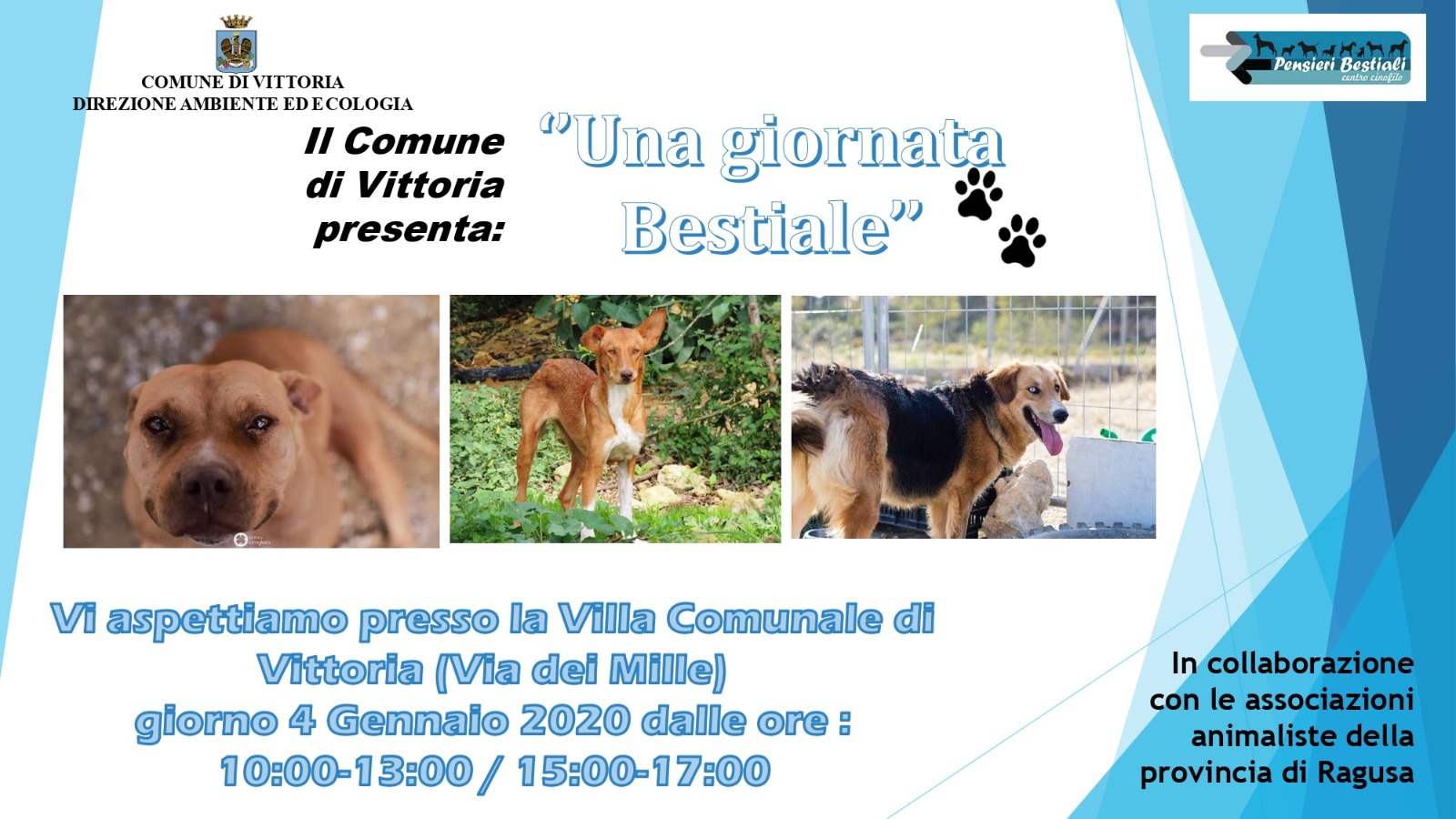“Una giornata Bestiale”: a Vittoria una giornata per l’adozione dei cuccioli