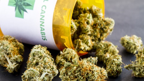 Cannabis terapeutica, in Sicilia per alcune patologie è gratis