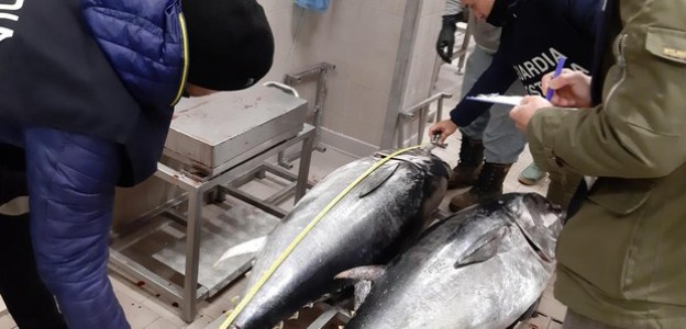 Acireale: calce viva per sbiancare il baccalà. La pulizia del pesce con acqua contaminata da fogna