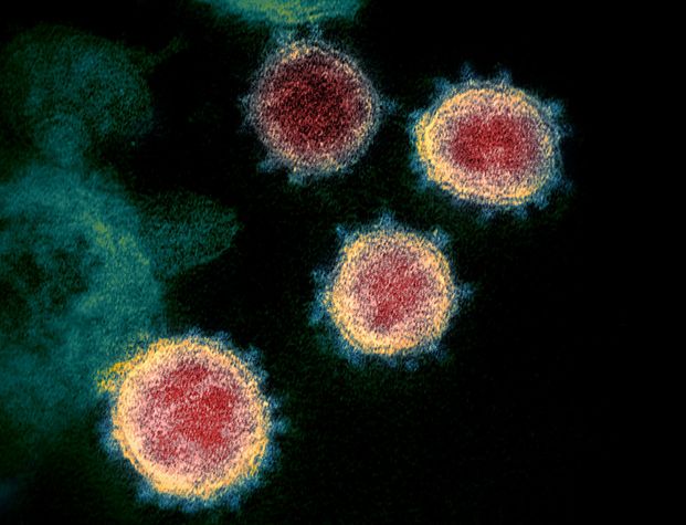 E’ morta la 76enne positiva al coronavirus a Treviso, 11 le vittime
